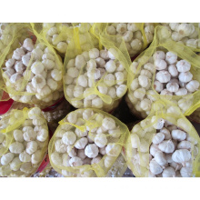 Fresh garlic Chinese new crop 2021 normal white garlic in bulk mesh bag and carton alho ajo with wholesale garlic price